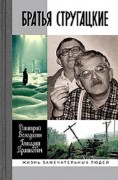 Братья Стругацкие - автор Володихин Дмитрий Михайлович 