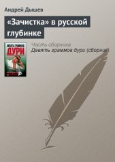 «Зачистка» в русской глубинке - автор Дышев Андрей Михайлович 