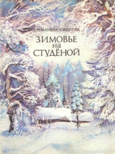 Зимовье на Студёной - автор Мамин-Сибиряк Дмитрий Наркисович 