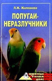 Попугаи-неразлучники - автор Жалпанова Линиза Жувановна 