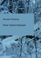  Поляков Михаил - Зима торжествующая