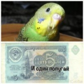 Пять рублей и один попугай (СИ) - автор Тимофеев Михаил 