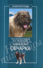 Кавказская овчарка - автор Куропаткина Марина 