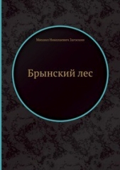 Русские в начале осьмнадцатого столетия - автор Загоскин Михаил Николаевич 