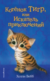 Котёнок Тигр, или Искатель приключений - автор Вебб Холли 