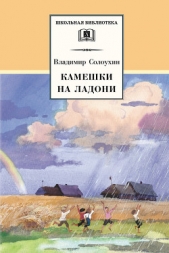Камешки на ладони (сборник) - автор Солоухин Владимир Алексеевич 