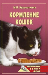 Кормление кошек - автор Куропаткина Марина 