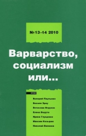 Левая политика. 2010 № 13 -14. Варварство, социализм или... - автор Соловьев Сергей Михайлович 