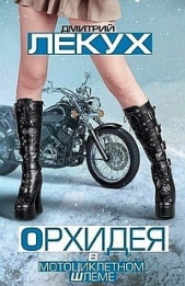 Лекух Дмитрий - Орхидея в мотоциклетном шлеме (сборник)