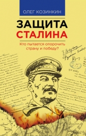 Защита Сталина. Кто пытается опорочить страну и победу? - автор Козинкин Олег Юрьевич 