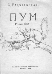 Пум - автор Радзиевская Софья Борисовна 