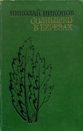 Солнышко в березах  - автор Никонов Николай Григорьевич 