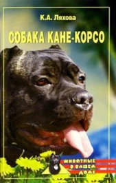 Собака Кане-Корсо - автор Ляхова Кристина Александровна 
