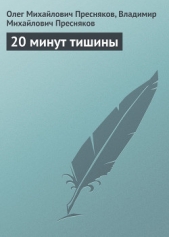 20 минут тишины - автор Пресняков Олег 