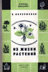  Корсунская Вера Михайловна - Из жизни растений