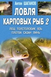 Ловля карповых рыб – 2 - автор Шаганов Антон 