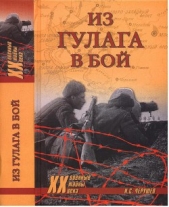 Из ГУЛАГа - в бой - автор Черушев Николай Семенович 