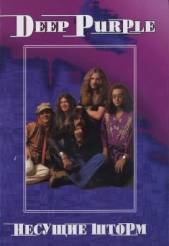 Deep Purple. Несущие шторм - автор Дрибущак Владимир Владмирович 