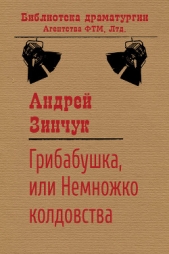 Грибабушка, или Немножко колдовства - автор Зинчук Андрей Михайлович 
