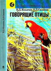 Говорящие птицы - автор Ильичев Валерий Аркадьевич 