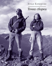 Точка сборки (сборник) - автор Кочергин Илья 