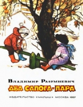 Два сапога — пара (сборник) - автор Разумневич Владимир Лукьянович 