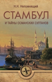 Стамбул и тайны османских султанов - автор Непомнящий Николай Николаевич 