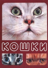 Кошки - автор Непомнящий Николай Николаевич 