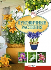 Луковичные растения - автор Дорошенко Татьяна Николаевна 