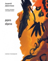 Дорога обратно (сборник) - автор Дмитриев Андрей 