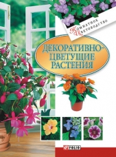 Декоративноцветущие растения - автор Дорошенко Татьяна Николаевна 