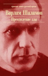 Шоковая терапия - автор Шаламов Варлам Тихонович 
