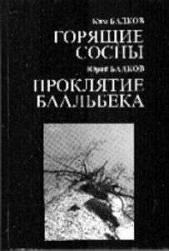 Проклятие Баальбека - автор Балков Ким Николаевич 
