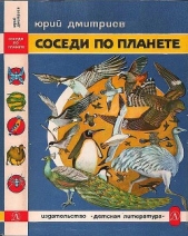 Соседи по планете: Птицы - автор Дмитриев Юрий Дмитриевич 
