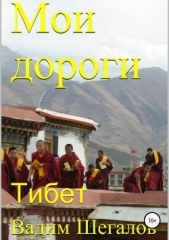 Мои дороги. Тибет - автор Шегалов Вадим 