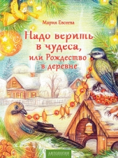 Надо верить в чудеса, или Рождество в деревне - автор Евсеева Мария 