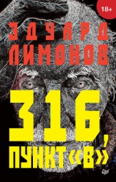 316, пункт «В» - автор Лимонов Эдуард Вениаминович 