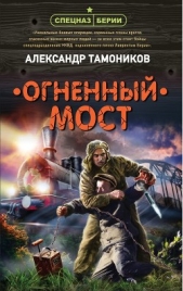 Огненный мост - автор Тамоников Александр 