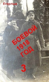 Боевой 1918 год-3 (СИ) - автор Конюшевский Владислав Николаевич 