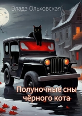Полуночные сны чёрного кота - автор Ольховская Влада 