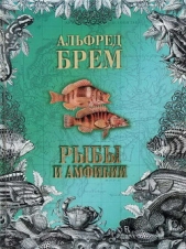  Брем Альфред Эдмунд - Жизнь животных. Рыбы и амфибии