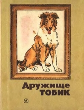 Дружище Тобик (сборник) - автор Миксон Илья Львович 
