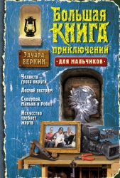 Большая книга приключений для мальчиков (сборник) - автор Веркин Эдуард Николаевич 