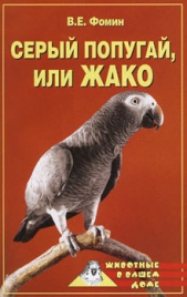 Серый попугай жако - автор Фомин В. Е. 