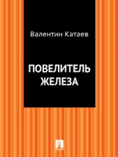 Повелитель железа (сборник) - автор Заяицкий Сергей Сергеевич 