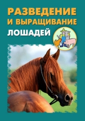 Разведение и выращивание лошадей - автор Ханников Александр Александрович 