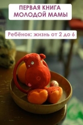 Ребёнок: жизнь от двух до 6 - автор Мельников Илья 