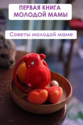 Советы молодой маме - автор Мельников Илья 