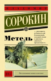 Метель - автор Сорокин Владимир 