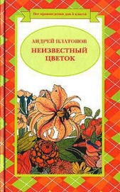 Неизвестный цветок (сборник) - автор Платонов Андрей Платонович 